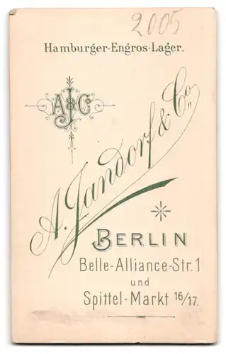 Fotografie A. Jandorf & Co., Berlin, Belle-Alliance-Strasse 1, Frau mit kunstvoller Frisur und Spitzenkragen