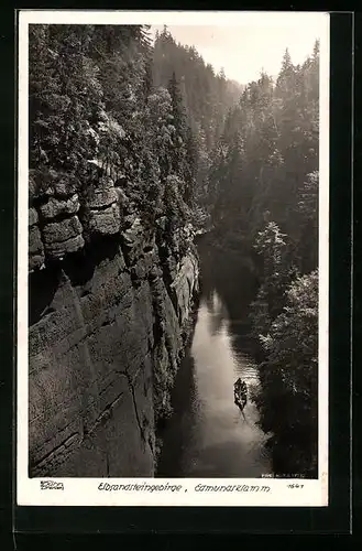 Foto-AK Walter Hahn, Dresden, Nr. 1641: Flusspartie in der Edmundsklamm