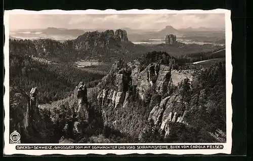 Foto-AK Walter Hahn, Dresden, Nr. 8510: Grosser DOm vom Carola-Felsen