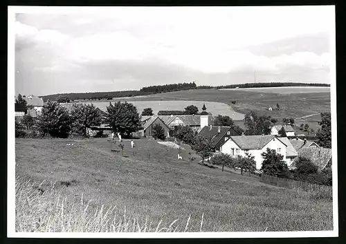 Fotografie unbekannter Fotograf, Ansicht Hinterrod / Thüringen, Weide am Rand der Ortschaft