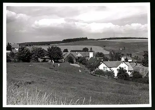 Fotografie unbekannter Fotograf, Ansicht Hinterrod / Thüringen, Weide mit Gehöft am Rand der Ortschaft