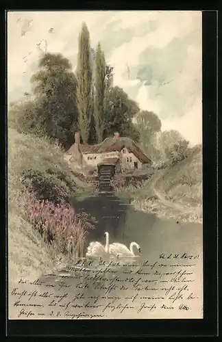 Künstler-AK Meissner & Buch (M&B) Serie 1189: Schwanenpaar vor einer Wassermühle