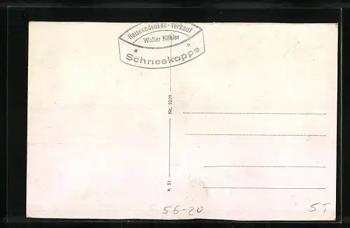 AK Riesengebirge, Schneekoppe, Riesenbaude und Schlesierhaus