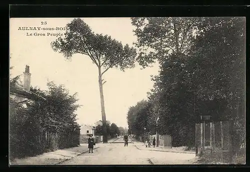 AK Aulnay-sous-Bois, Le Gros Peuple