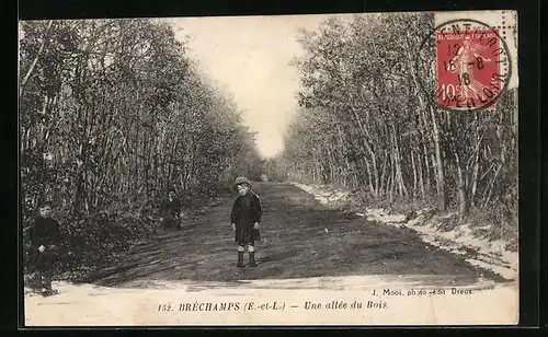 AK Bréchamps, Une allée du Bois