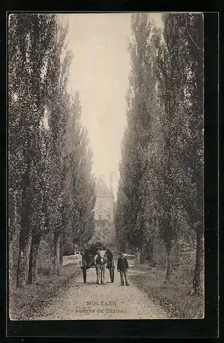 AK Moléans, Avenue du Château