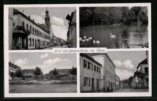 AK Germersheim am Rhein /Pfalz, Strassenpartie mit Geschäften, Uferpartie und Enten, Ortspartie