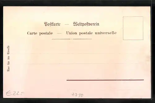 Lithographie Konstanz, Insel-Hotel, Inneres Speisesaal, Teilansicht von der Seestrasse