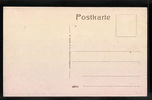 AK Oppenau, Hauptstrasse mit Geschäften