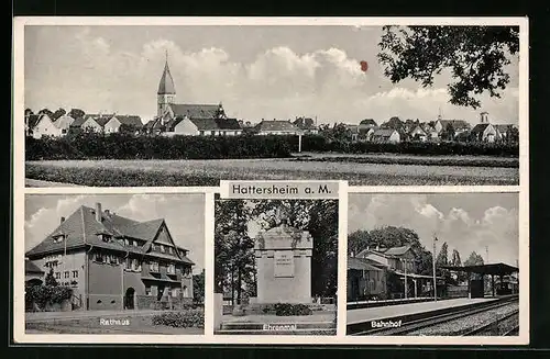 AK Hattersheim a. M., Bahnhof, Rathaus, Panorama