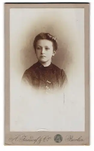 Fotografie A. Jandorf, Berlin, Brunnenstr. 19-21, Portrait bildschönes Mädchen in hübscher Bluse