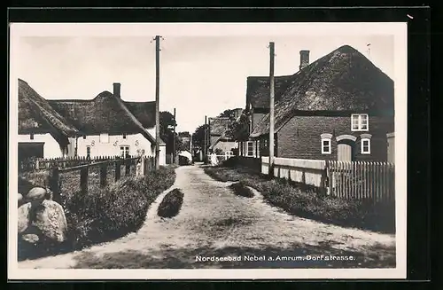 AK Nebel / Amrum, Dorfstrasse mit alten Häusern