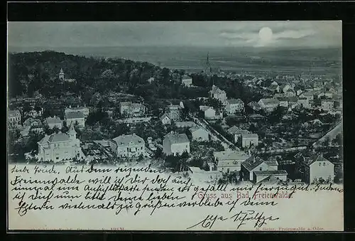 Mondschein-AK Bad Freienwalde, Totalansicht