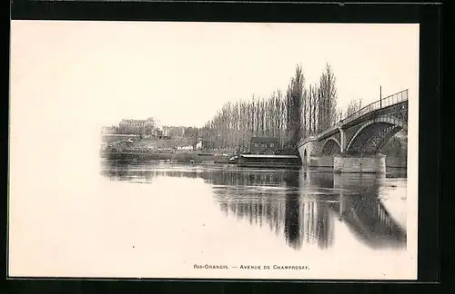 AK Ris-Orangis, Avenue de Champrosay