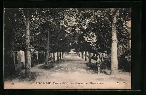 AK Ris-Orangis, Avenue des Marronniers