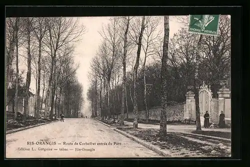 AK Ris-Orangis, Route de Corbeil et entrée du Parc