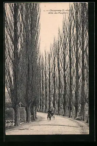 AK Champrosay, Allée des Peupliers