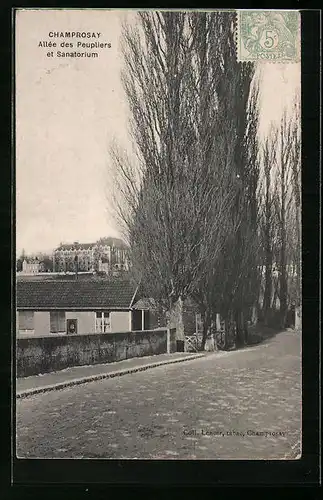AK Champrosay, Allée des Peupliers et Sanatorium