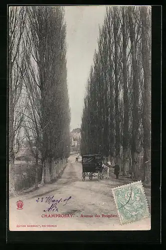AK Champrosay, Avenue des Peupliers