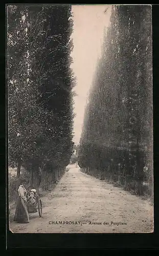 AK Champrosay, Avenue des Peupliers