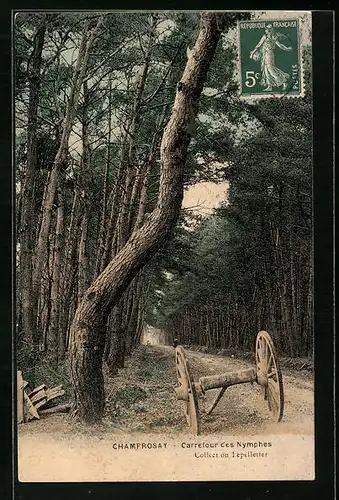 AK Champrosay, Carrefour des Nympghes