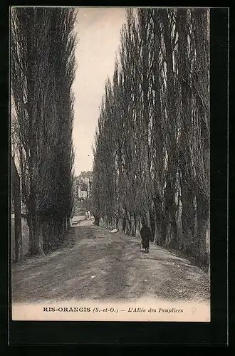 AK Ris-Orangis, l'Allée des Peupliers