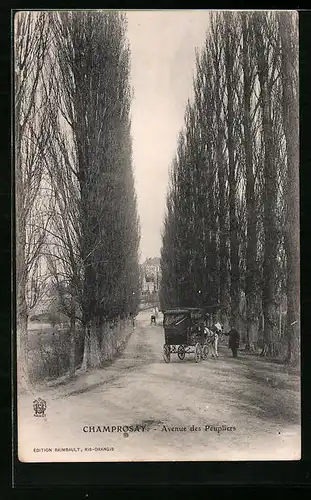 AK Champrosay, Avenue des Peupliers