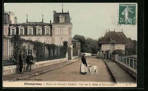 AK Champrosy, Route de Draveil à Corbeil, Vue sur la Seine