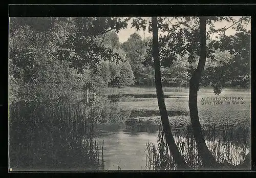 AK Althaldensleben, erster Teich im Walde
