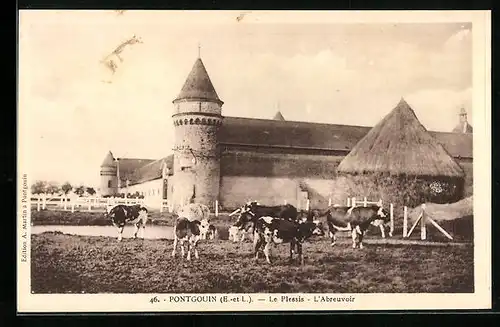 AK Pontgouin, le Plessis, l'Abreuvoir