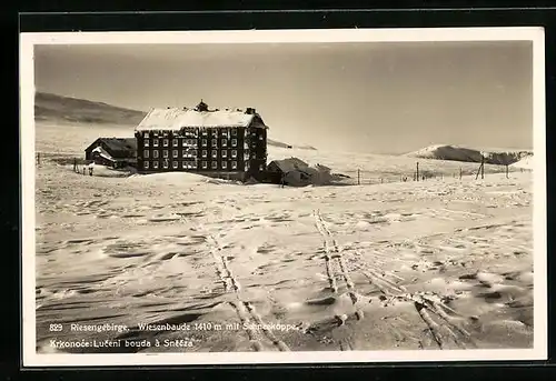 AK Wiesenbaude, Winteridylle mit Schneekoppe