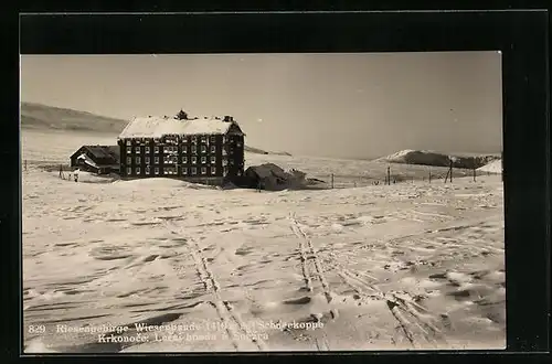 AK Wiesenbaude, Winteridylle mit Schneekoppe