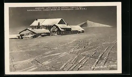 AK Wiesenbaude, Gesamtansicht mit Schneekoppe im Winterglanz