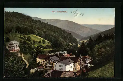 AK Bad Rippoldsau, Blick auf Dorf im Tal