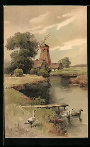 Künstler-AK Meissner & Buch (M&B) Serie 1258: Bachlauf mit Gänsen und Mühle im Hintergrund