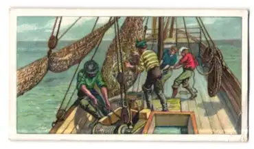 Sammelbild Reese & Wichmann Kakao Pralinen Schokolade, Serie 4 Bild 2, Englischer Fischdampfer bei Island, Fischfang