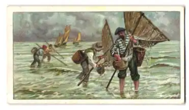 Sammelbild Reese & Wichmann Kakao Pralinen Schokolade, Serie 4 Bild 3, Fischfang, Französischer Fischer in der Bretagne