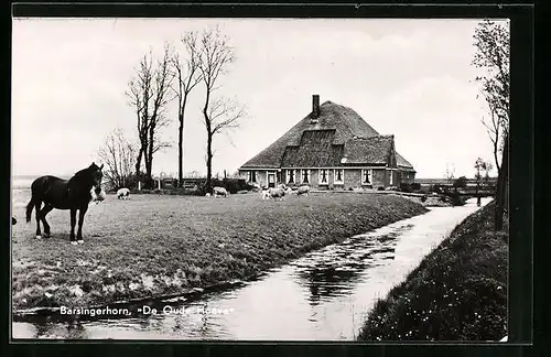 AK Barsingerhorn, De Oude Hoeve