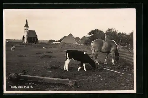 AK Texel, den Hoorn, Kuh und Pferd auf der Wiese vor der Kirche