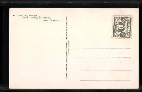 AK Texel, Insulo Tekselo, Ce Patrino