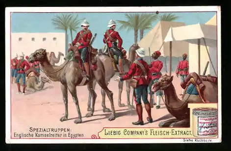 Sammelbild Liebig, Spezialtruppen, Englische Kameelreiter in Ägypten