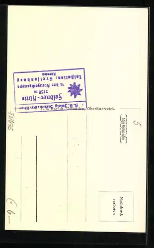 AK Feldnerhütte, Partie an der Berghütte der Ö. A. V. Sektion Steinnelke