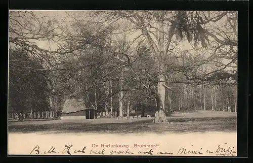 AK Winterswijk, De Hertenkamp Brummen