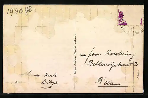 AK Arnhem, Sonsbeek, Kühe auf der Weide