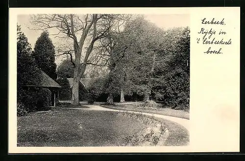 AK Eerbeek, Kijkje in `t Eerbeeksche Bosek