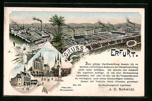 Lithographie Erfurt, J. C. Schmidt vor und in der Stadt, Dom u. Severikirche