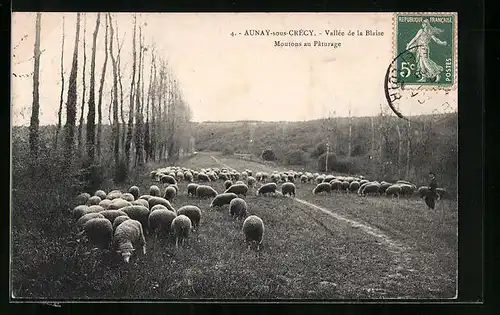 AK Aunay-sous-Crécy, Vallée de la Blaise, Moutons au Pâturage