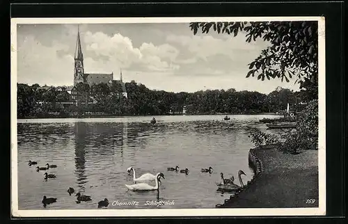 AK Chemnitz, Schlossteich mit Kirche und Schwänen
