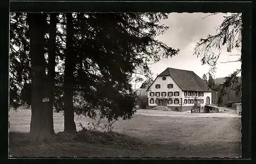 AK Peterzell-Stockburg / Schwarzwald, Gasthof-Pnesion zum Rössle