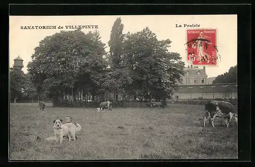 AK Villepinte, Sanatorium, la Prairie
